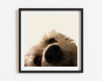 Giclée Fine Art Print, Unframed, Puppy, Dog Face, Portrait