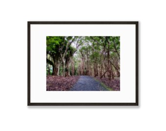 Giclée Fine Art Print, Unframed, Impressionistic, Kauai, Hawaii