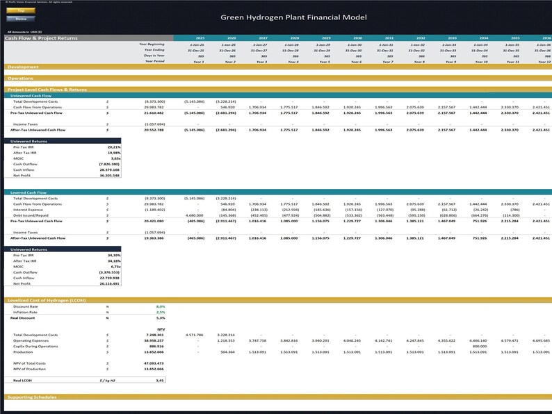 May include: A spreadsheet displaying a financial model for a green hydrogen plant. The spreadsheet outlines the cash flow and project returns for the plant, encompassing development, operations, and project level cash flows and returns. The spreadsheet also presents the levelized cost of hydrogen (LCOH) and the discounting rate.