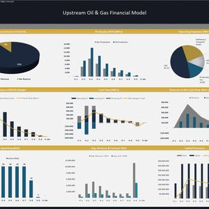 Upstream Oil & Gas Project - 20 Year Financial Model image 10