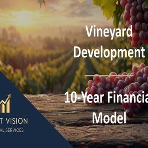 Könnte beinhalten: Bild eines Weinbergs bei Sonnenuntergang mit reifen Trauben. Text überlagert mit "Vineyard Development 10-Year Financial Model" und "Profit Vision Financial Services". Die Szene suggeriert Wachstum und Finanzplanung.
