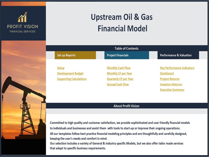 Upstream Oil & Gas Project - 20 Year Financial Model image 2
