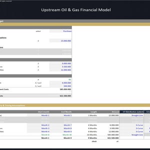Upstream Oil & Gas Project - 20 Year Financial Model image 5