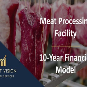 May include: A digital document cover titled Meat Processing Facility 10-Year Financial Model, featuring a background of raw red meat cuts hanging on metal hooks. The Profit Vision Financial Services logo with a gold upward arrow is in the corner.