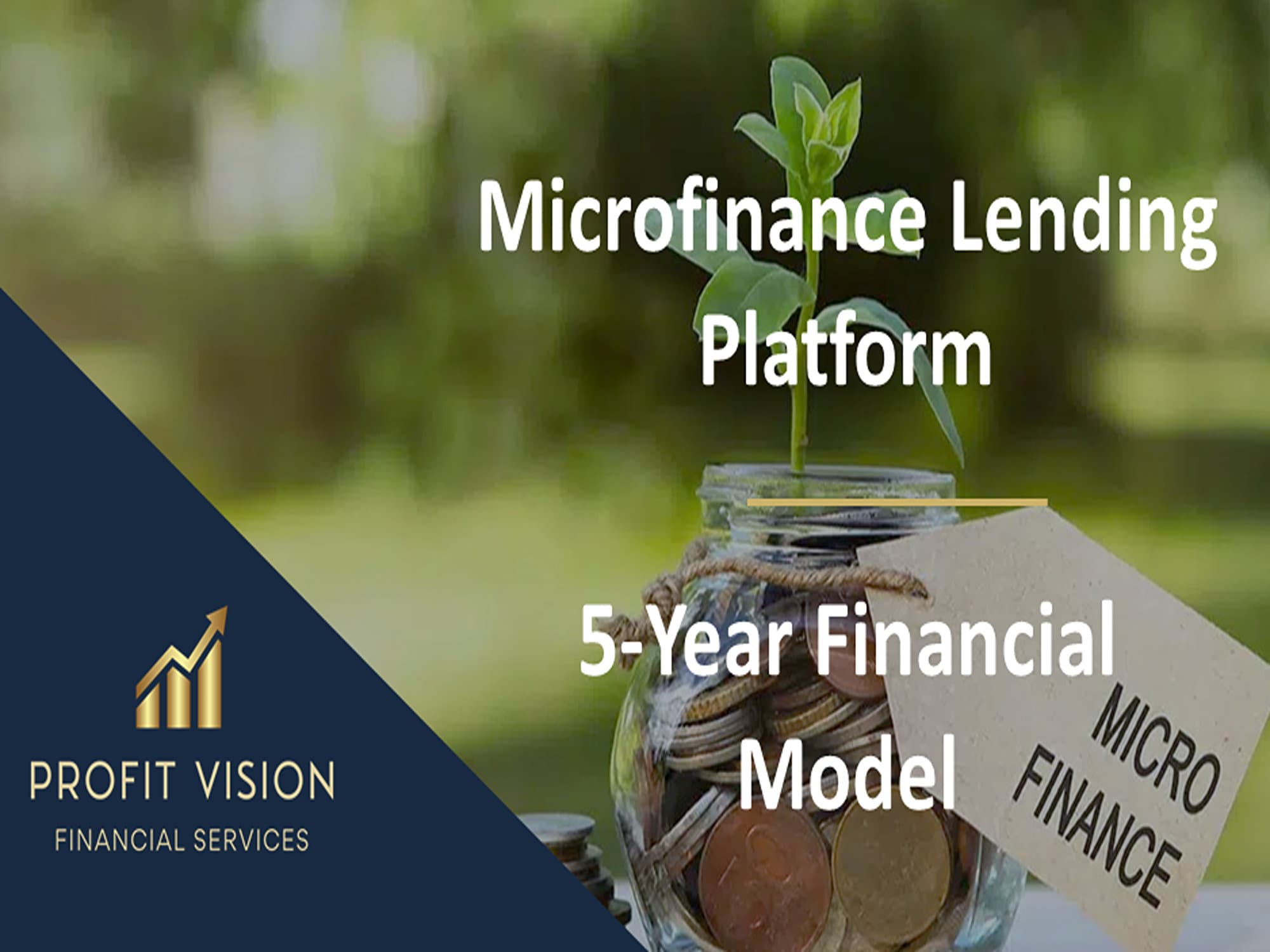 Microfinance Platform – 5 Year Financial Model - Etsy, image size:2000x1500