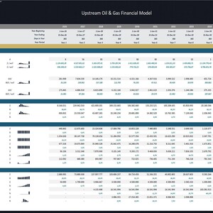 Upstream Oil & Gas Project - 20 Year Financial Model image 9