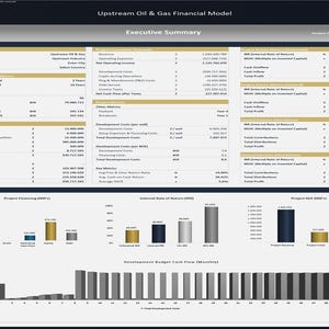 Upstream Oil & Gas Project - 20 Year Financial Model image 3
