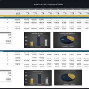 Upstream Oil & Gas Project - 20 Year Financial Model image 11