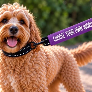 Può includere: Un cane dal pelo riccio color marrone dorato indossa un collare nero con cuciture riflettenti bianche. Al collare è agganciato un guinzaglio nero con una sezione dell'impugnatura imbottita viola con il testo bianco CHOOSE YOUR OWN WORDS.
