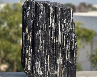 Raw Black Tourmaline Crystal Specimen Natural Schorl Stone Collector Mineral Home Display