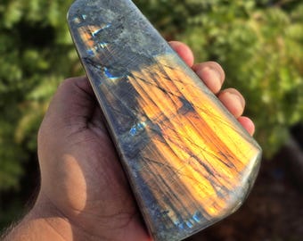 6"Golden Flash Labradorite Freeform: Intense Labradorescence, Blue Highlights, Collector Specimen