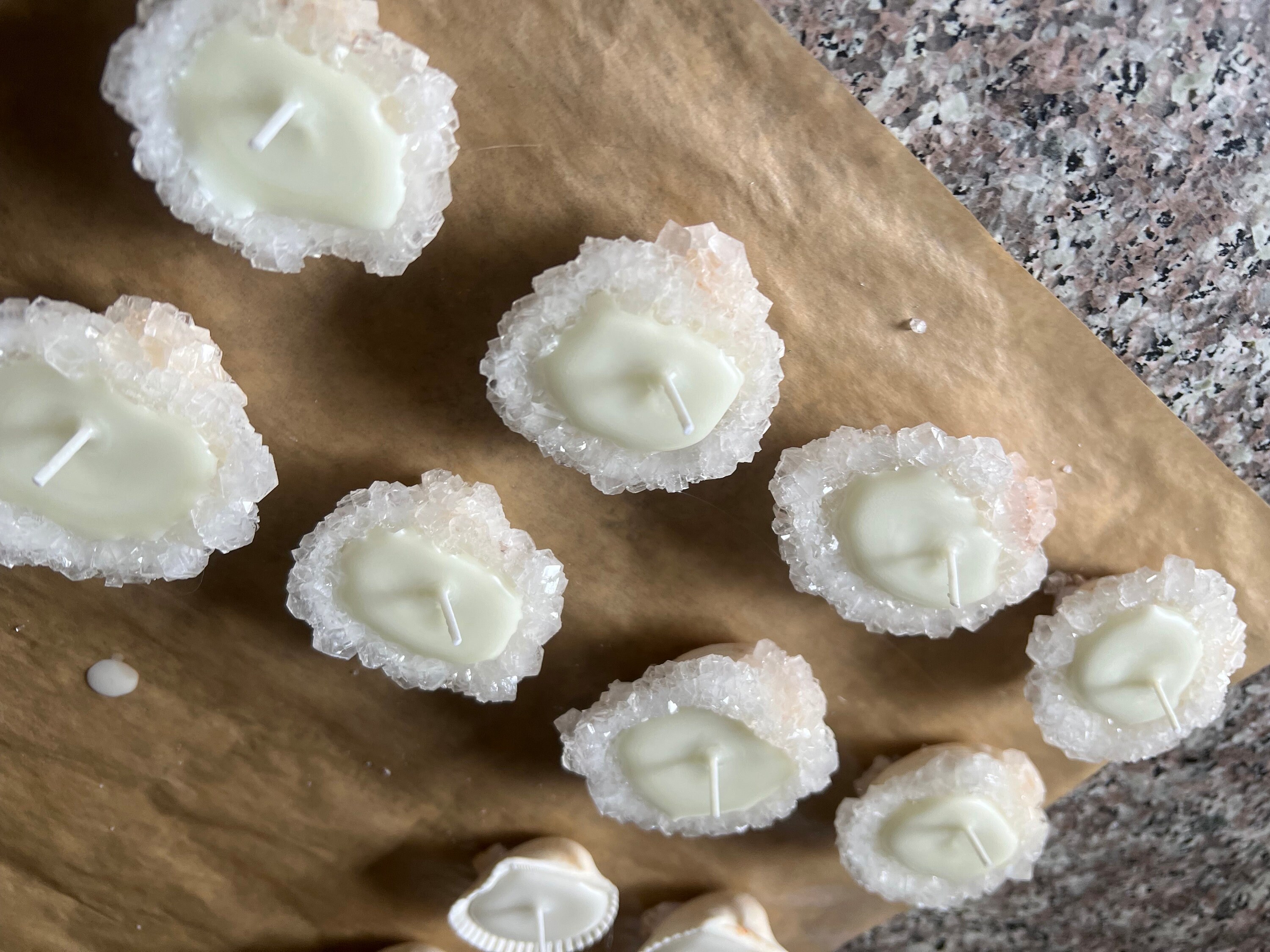 BULK Orders Sea Shell Tealight Candle 10 Boxes Sea Shell Etsy