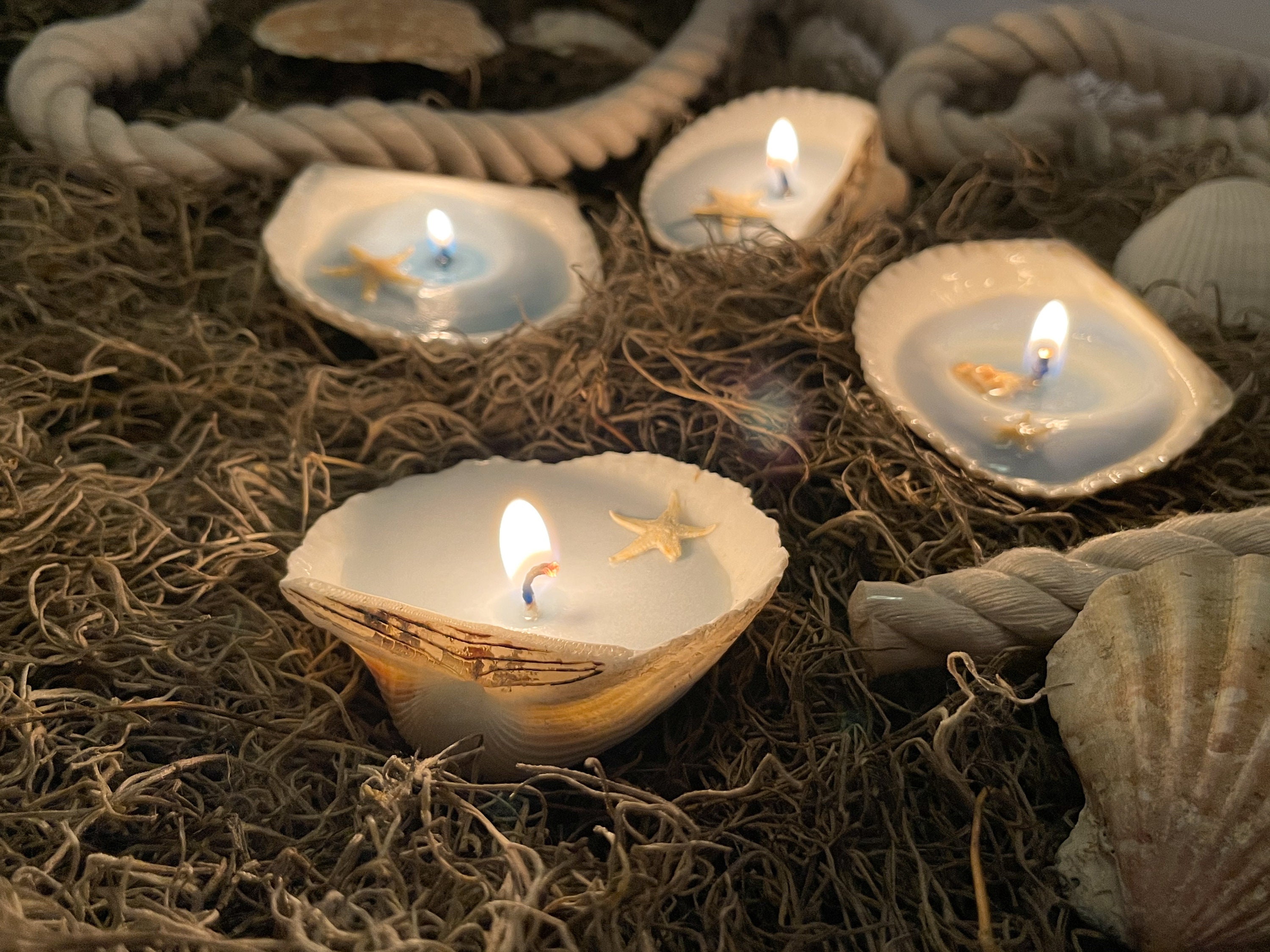 Beach-themed Gel Candles, Scented Gel Candles, Christmas Seashell