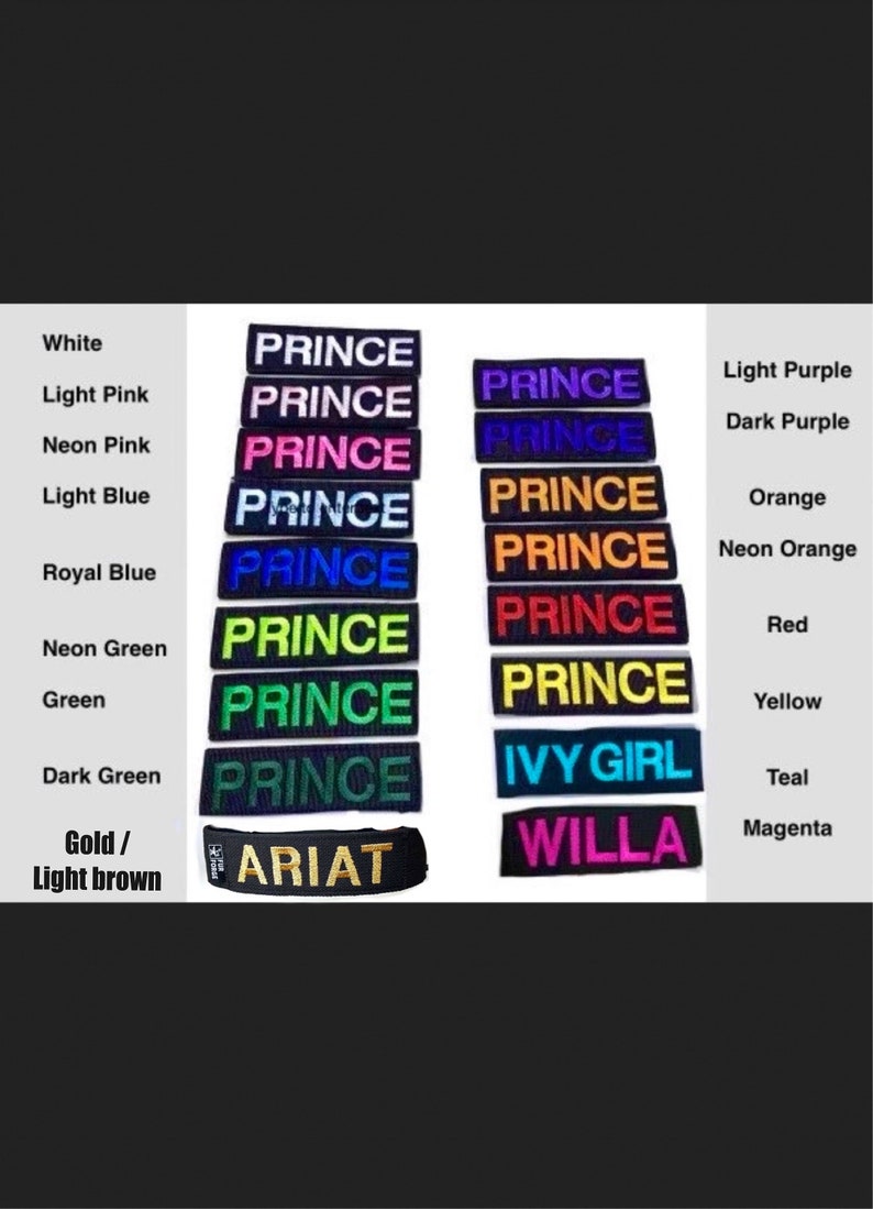 May include: A set of 14 iron-on patches in various colors, including white, light pink, neon pink, light blue, royal blue, neon green, green, dark green, gold, light purple, dark purple, orange, neon orange, red, yellow, teal, and magenta. The patches feature the words "PRINCE", "IVY GIRL", "WILLA", and "ARIAT".