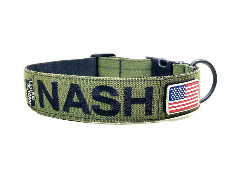 May include: Green dog collar with black webbing and a black name tag that reads "NASH". The collar also has a small American flag patch.