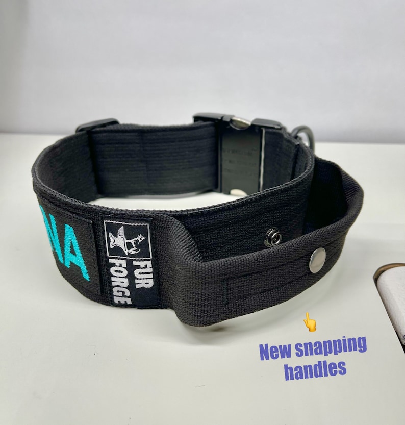 May include: Black dog collar with a turquoise embroidered name and the words "Fur Forge". The collar has a black buckle and a handle with a snap closure.