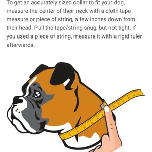 May include: Illustration of a brown and white dog with a yellow measuring tape around its neck. The text reads: "To determine the correct collar size for your dog: To get an accurately sized collar to fit your dog, measure the center of their neck with a cloth tape measure or piece of string, a few inches down from their head. Pull the tape/string snug, but not tight. If you used a piece of string, measure it with a rigid ruler afterwards."