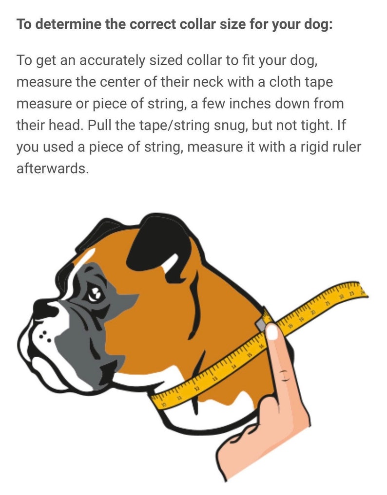 May include: Illustration of a brown and white dog with a yellow measuring tape around its neck. The text reads: "To determine the correct collar size for your dog: To get an accurately sized collar to fit your dog, measure the center of their neck with a cloth tape measure or piece of string, a few inches down from their head. Pull the tape/string snug, but not tight. If you used a piece of string, measure it with a rigid ruler afterwards."