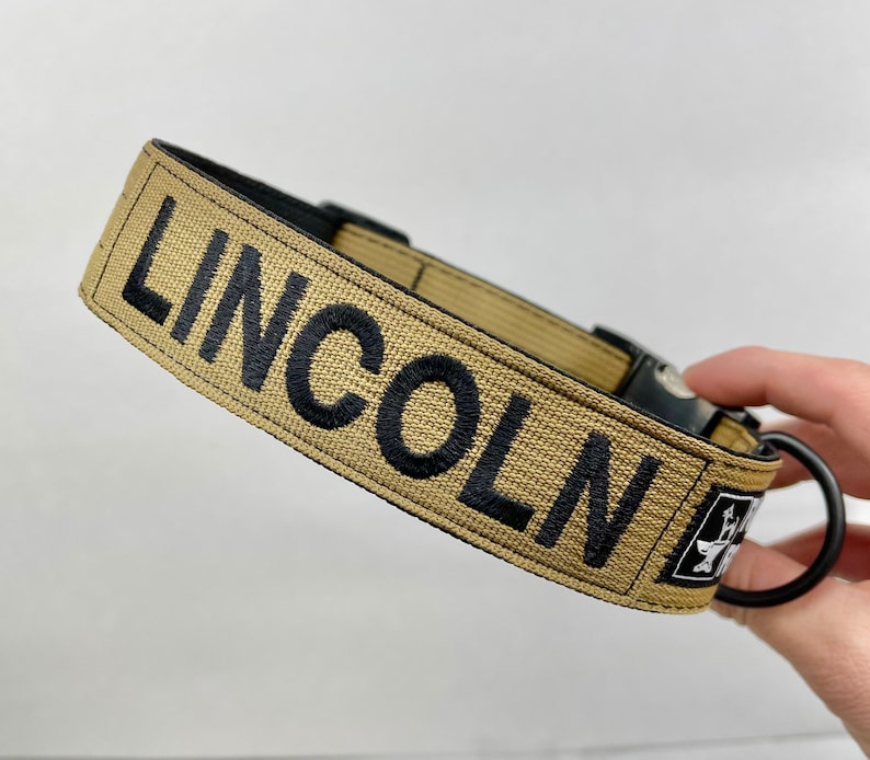 May include: Tan dog collar with the name "LINCOLN" embroidered in black. The collar has a black buckle and a black metal ring for leash attachment. A small patch with a white graphic is also visible.
