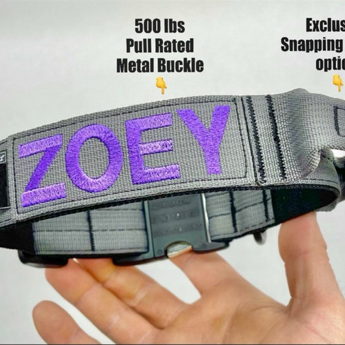 1.5 Personalized Tactical Dog Collar With Plastic Buckle - Etsy