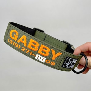 May include: A green dog collar with the name "GABBY" embroidered in orange and white text. The collar has a black buckle and a black metal D-ring.