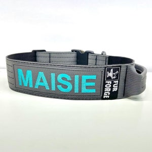 May include: A gray dog collar with a black buckle and a turquoise name tag that reads "MAISIE". The collar also has a black patch with a white logo that reads "FUR FORGE".