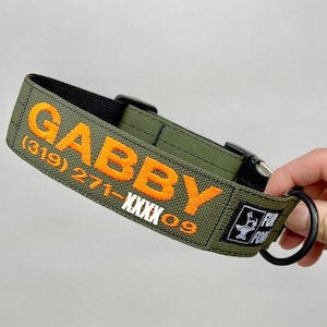 May include: Olive green dog collar with the name "GABBY" embroidered in orange, along with a phone number and a logo. The collar has a black buckle and a black metal ring for leash attachment.