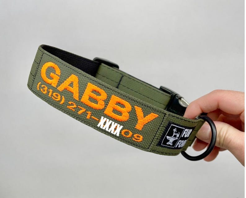 May include: Olive green dog collar with the name "GABBY" embroidered in orange, along with a phone number and a logo. The collar has a black buckle and a black metal ring for leash attachment.