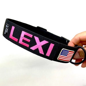 May include: Black dog collar with pink embroidered text "LEXI" and a small American flag patch. The collar is made by FUR FORCE.