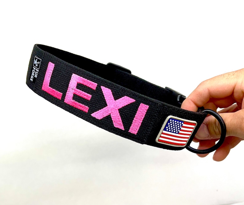 May include: Black dog collar with pink embroidered text "LEXI" and a small American flag patch. The collar is made by FUR FORCE.