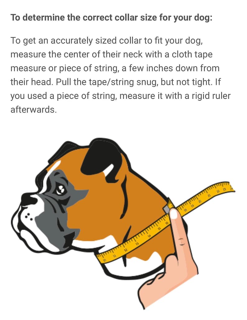 May include: Illustration showing how to measure a dog's neck for a collar using a tape measure. The illustration shows a brown and white dog with a yellow tape measure around its neck. The tape measure reads 18 inches.