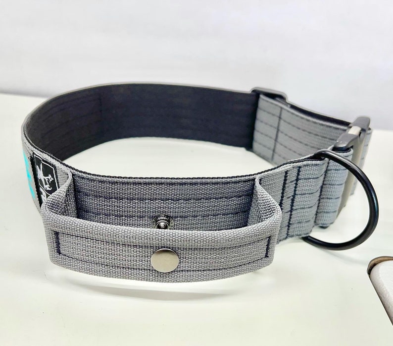 May include: A gray dog collar with a black metal buckle and a gray fabric handle. The collar has a silver button on the handle.