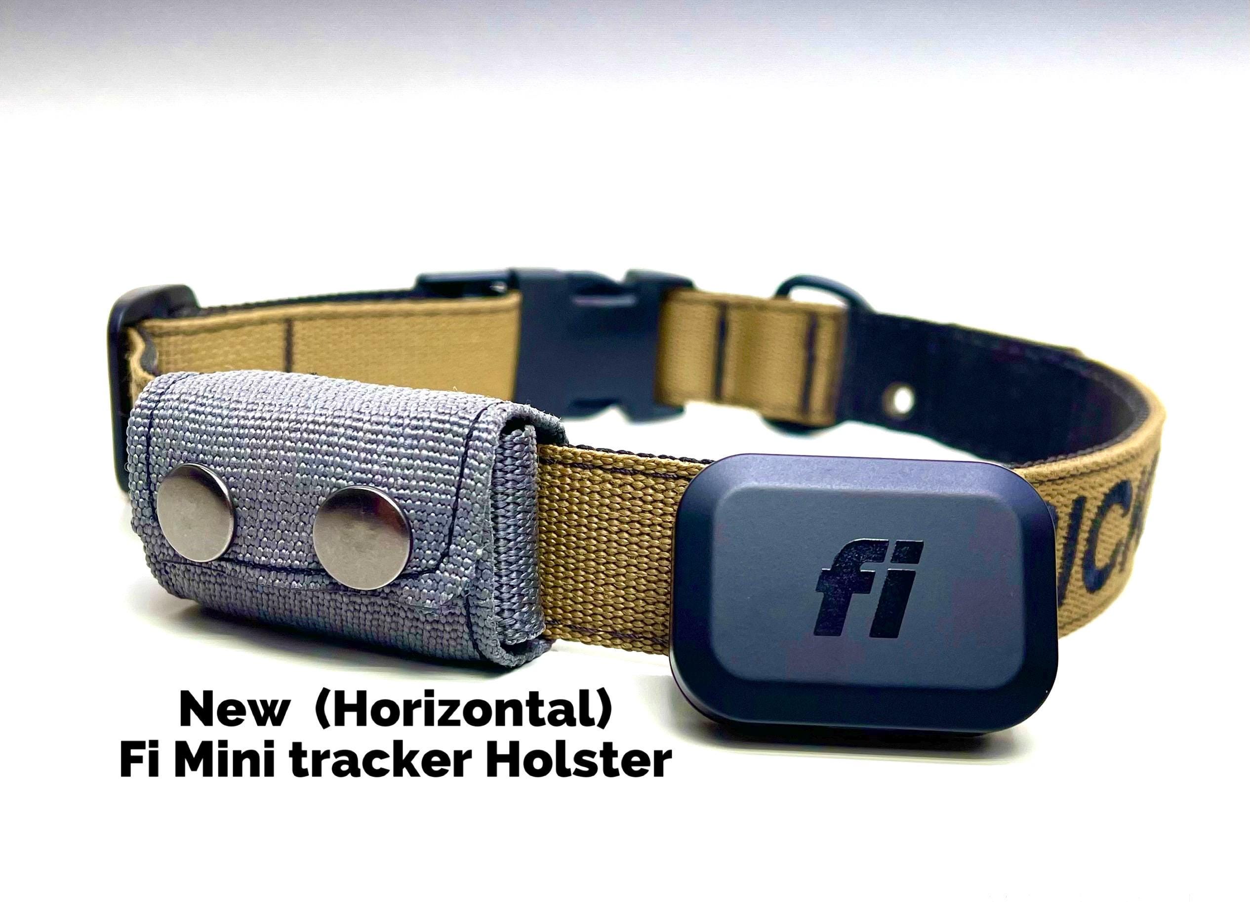 Fi Cat Tracking Collar