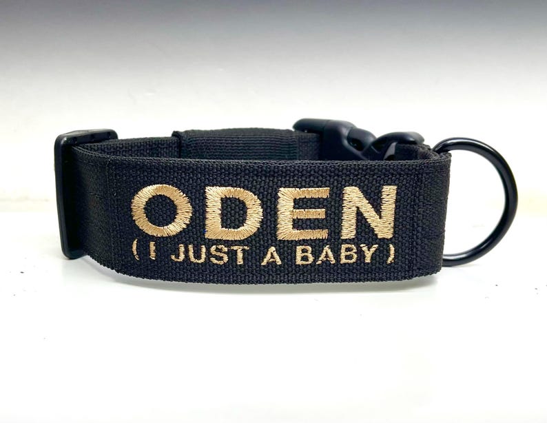 May include: Black dog collar with gold embroidered text that reads "ODEN (I JUST A BABY)". The collar has a black plastic buckle and a black metal D-ring for leash attachment.