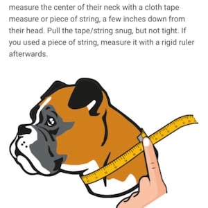 May include: Illustration showing how to measure a dog's neck for a collar. A yellow measuring tape is wrapped around the dog's neck. The text explains how to measure the neck with a tape measure or string.
