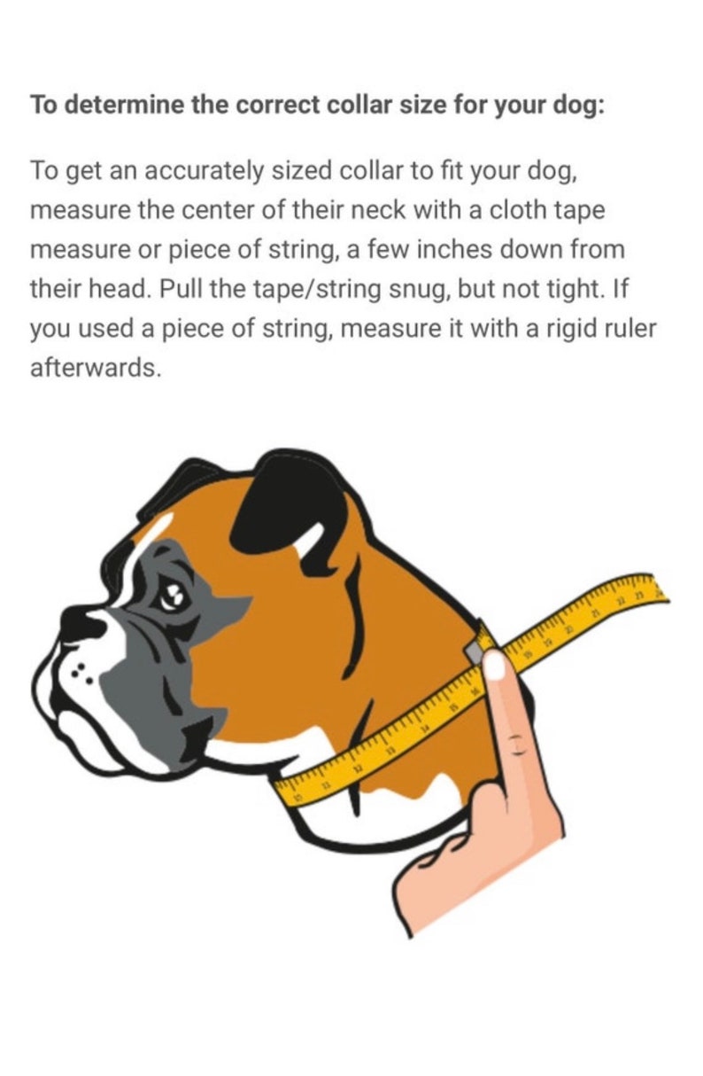 May include: Illustration showing how to measure a dog's neck for a collar. A yellow measuring tape is wrapped around the dog's neck. The text explains how to measure the neck with a tape measure or string.