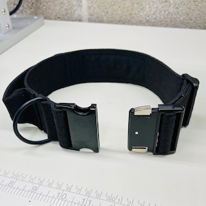 May include: A black nylon dog collar with a black plastic buckle and a silver metal D-ring.