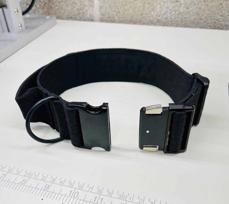 May include: A black nylon dog collar with a black plastic buckle and a silver metal D-ring.