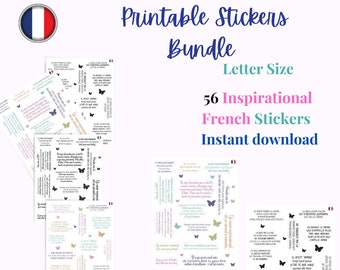 Motivational French Stickers, self care stickers, Planner Stickers, Inspirational Sticker, Digital Stickers, Printable Stickers