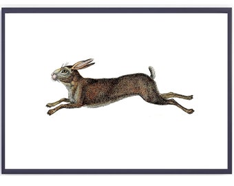 Vintage Hare Digital Download Rabbit Antique Illustration Minimalistic Decor Farmhouse Farm House Kitchen Living Room 10x8 14x20 16x20