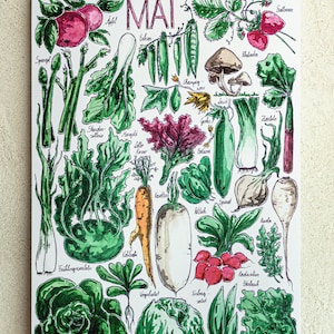 Seasonal calendar A3, fruit and vegetables (illustrated)