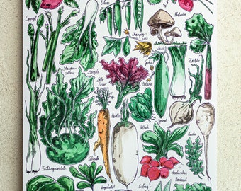 Seasonal calendar A3, fruit and vegetables (illustrated)