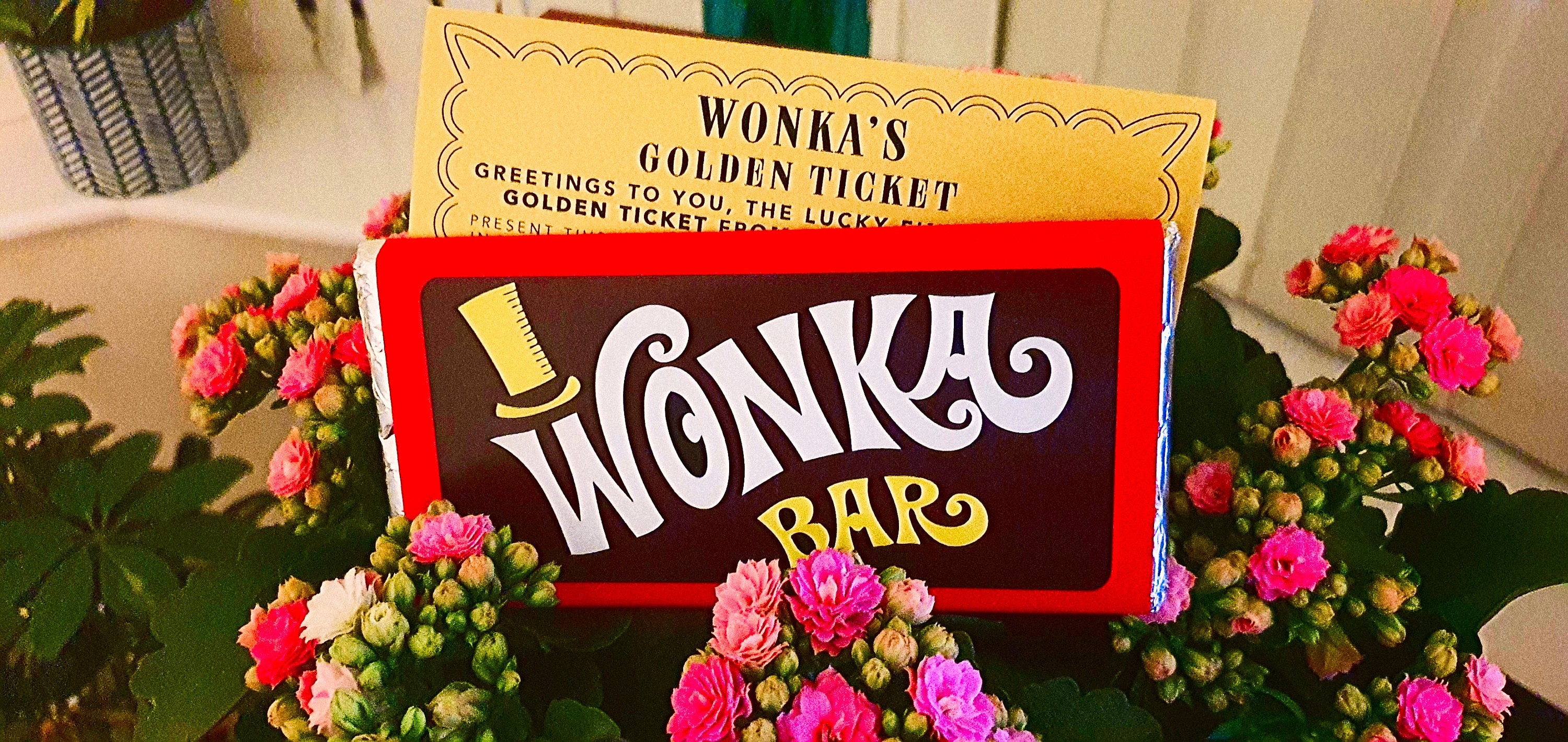 A Selection of Chocolate Flavors / Willy Wonka Chocolate Bar Etsy