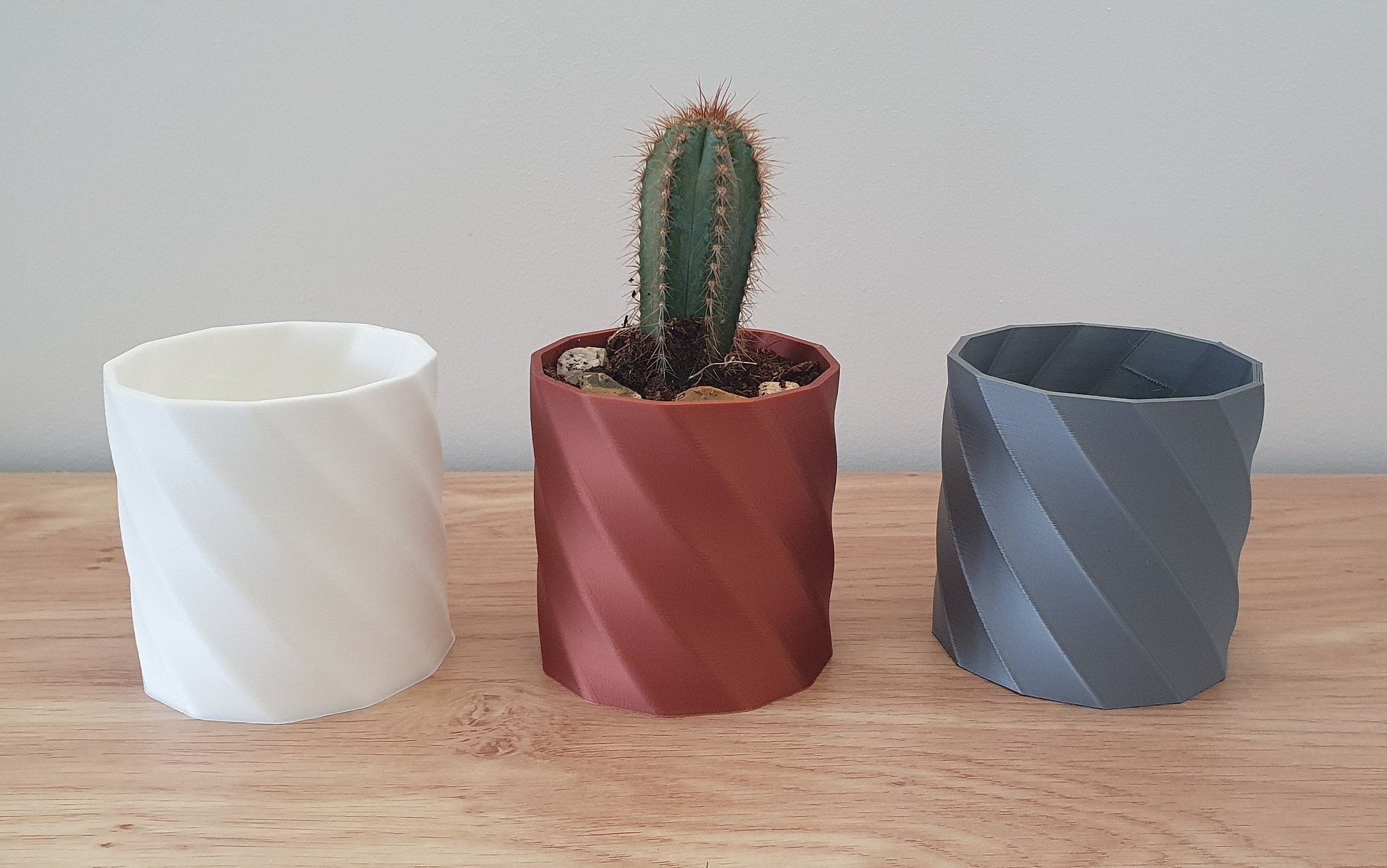 3D Printed Plant Pot / Eco Friendly / Succulent Pots / Cactus Etsy