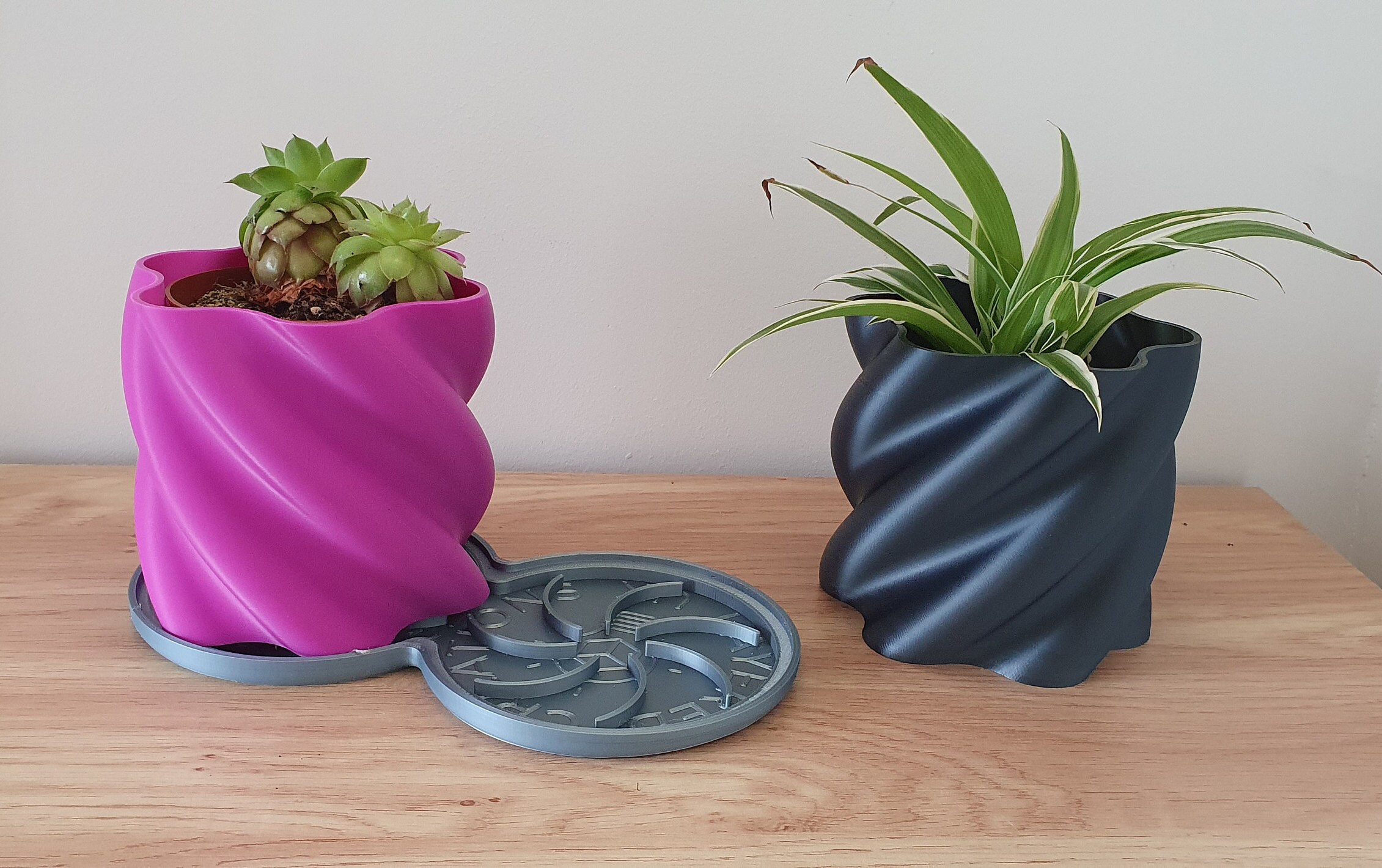 3D Printed Plant Pot / Eco Friendly / Succulent Pots / Cactus Etsy