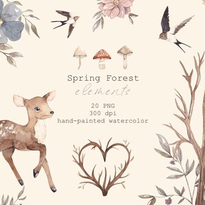 Bosque de primavera acuarela digital clipart Deer Fawn ilustración Swallow png descarga instantánea Flores Greenery Mushroom imágenes pintadas a mano