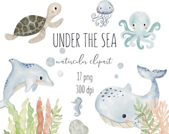 Sea Animal Clipart Etsy