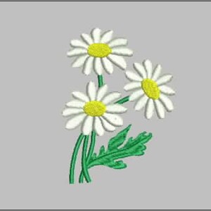 Chamomile, Flowers, Machine Embroidery Design