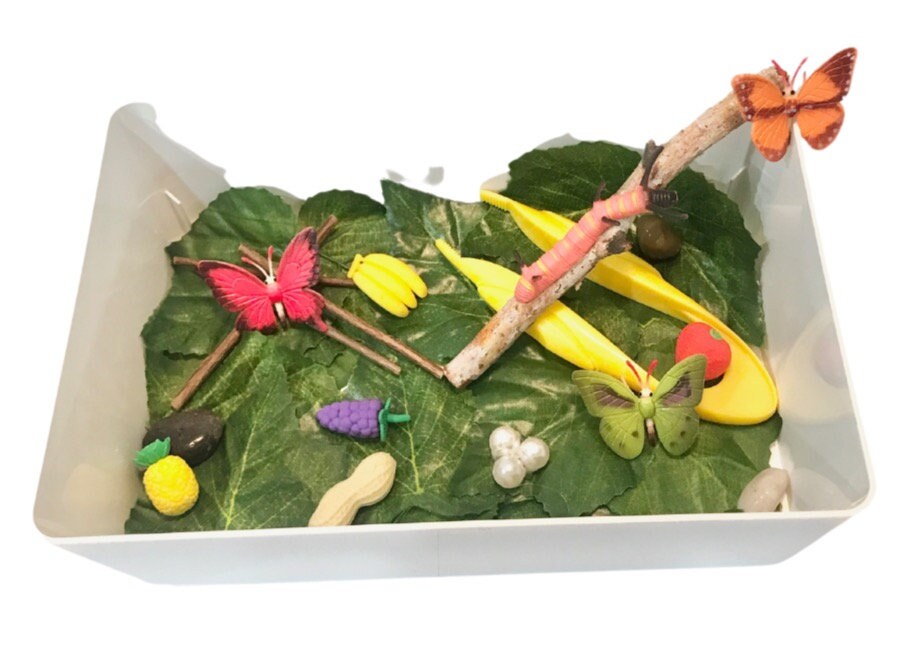 The very hungry caterpillar sensory bin Etsy