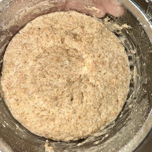 Dehydrated Rye Soudough Starter